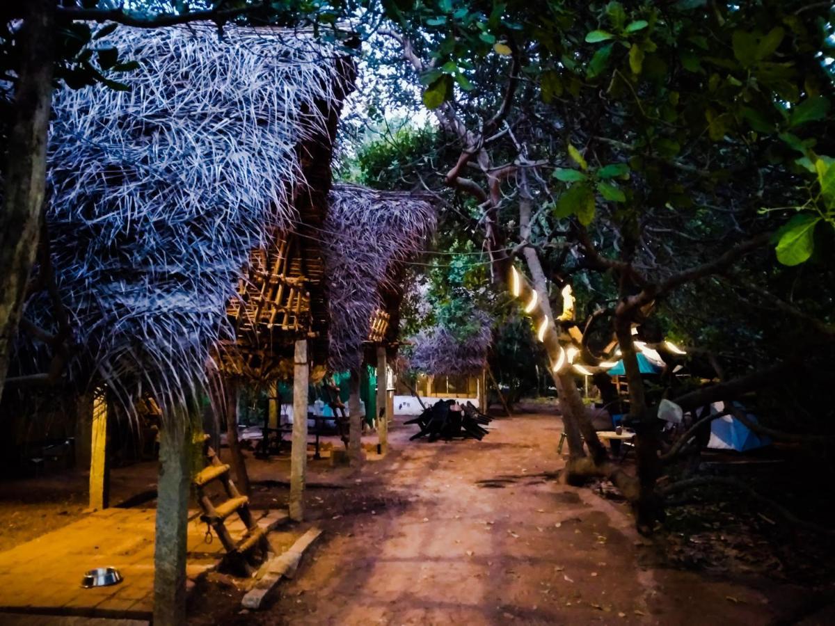 Peace Garden Albergue Auroville Exterior foto