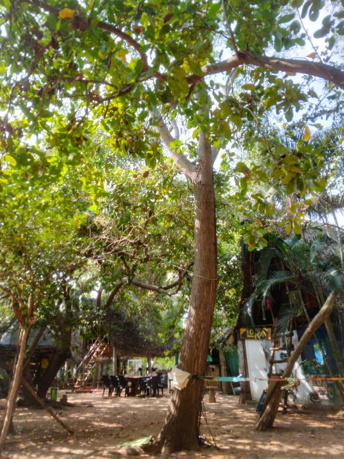 Peace Garden Albergue Auroville Exterior foto